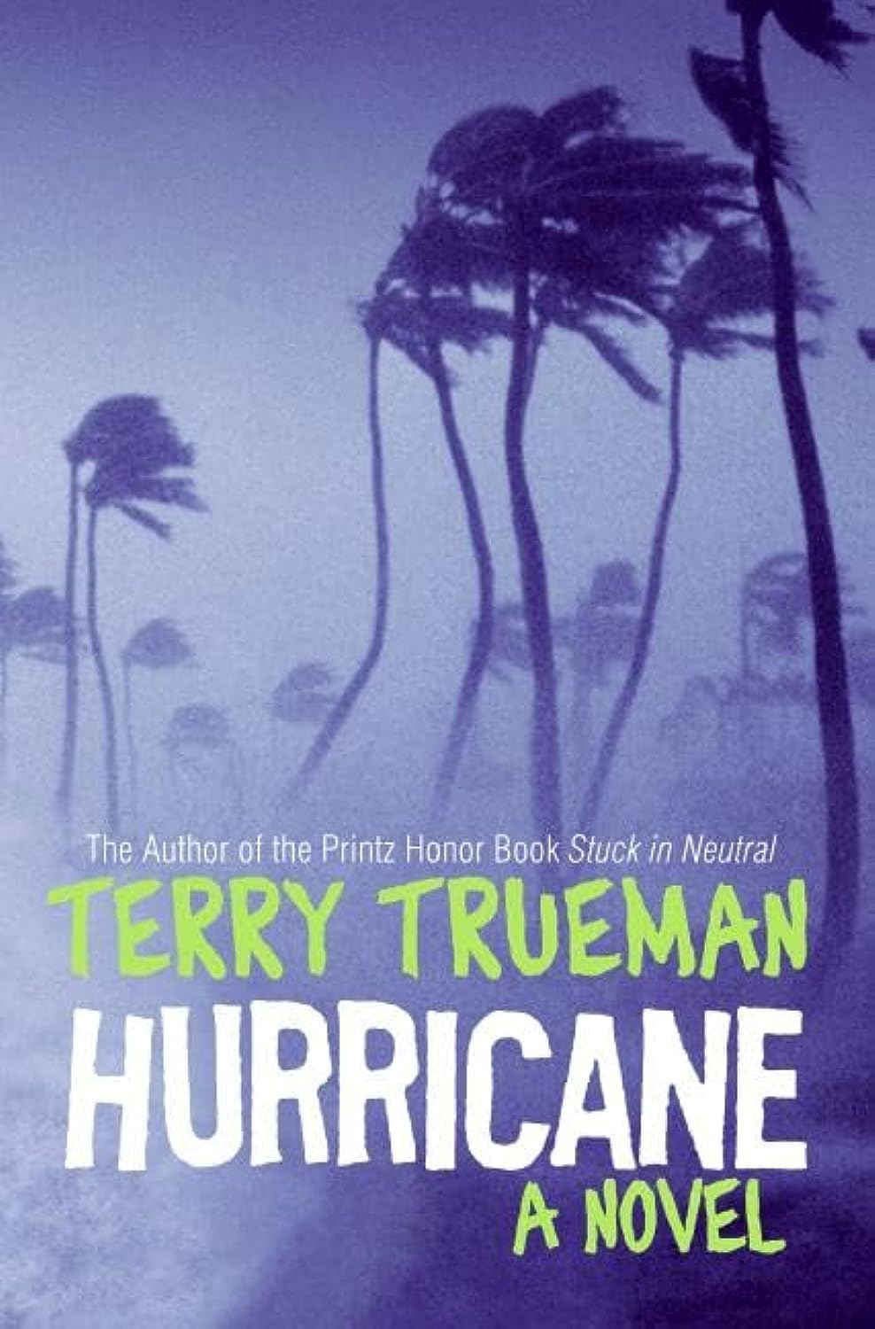 Hurricane: A Novel